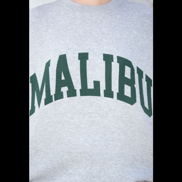 Brandy Melville gray Erica Malibu sweatshirt - Picture 3 of 4